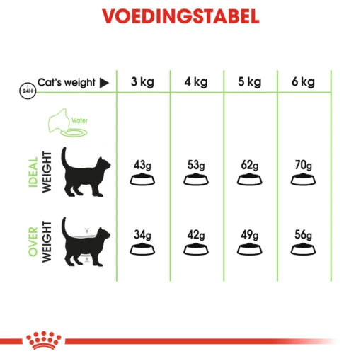 Royal Canin Digestive Care Kattenvoer 10kg -Dierenwinkel 008fe126cdda42e3c6aed5745a0f97752d50468c1cd349557e62f9199c7ffafa