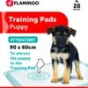 Flamingo Trainingsmat Pady L 20st Lokstof 90x60cm -Dierenwinkel 02ffe362b04a03551d74b41e849ae688cb6cfcaab8dc2c6b516cb8870e3a0587