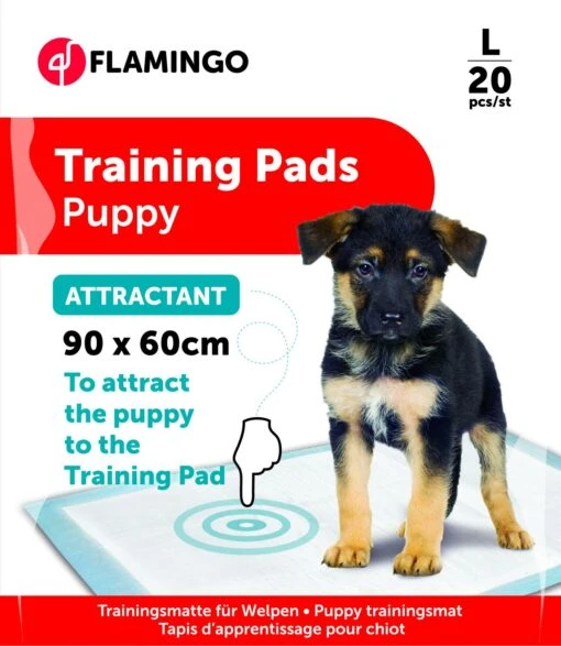 Flamingo Trainingsmat Pady L 20st Lokstof 90x60cm -Dierenwinkel 02ffe362b04a03551d74b41e849ae688cb6cfcaab8dc2c6b516cb8870e3a0587