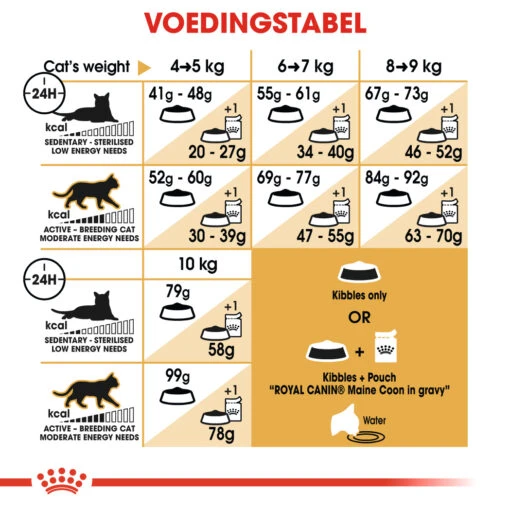 Royal Canin Maine Coon 2kg -Dierenwinkel 0374080cfca08fe20f539e96d88e2c71905e60c2a86c3e53d2e53651b190e5fc