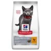 Hill's Science Plan Kitten Sterilised Kip 7kg -Dierenwinkel 052742053646 2 NL 4