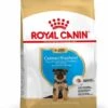 Royal Canin German Shepherd/Duitse Herder Puppy - Hondenvoer - 3kg -Dierenwinkel 17c54121c671f6cdfe28f38823b7d555834d2ee0902018a53cc90ac4abfd285e