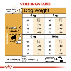 Royal Canin Pug/Mopshond Adult - Hondenvoer - 1,5kg -Dierenwinkel 1f09598131a8cf83ce574b12b60dd2d6d0ab26dd97375c3ec79e7c813cb6ad83 1