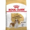 Royal Canin Cavalier King Charles Adult - Hondenvoer - 7,5 Kg -Dierenwinkel 20bb543915deff1100a0b1c51907744909a5941936219ab769e3155e4826f8f2