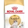 Royal Canin Ragdoll Adult Kat 10kg -Dierenwinkel 2d098f6844eca22da2d73c11859ebe1852bbf70b5c255cd17d416fb4f8c585cb