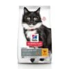 Hill's Science Plan Mature Adult Sterilised - Kip - 3kg -Dierenwinkel 2d266dc9c4a035d9dbff40754ea28a40f725c5deb6814c999391b49609bafa10