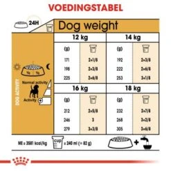 Royal Canin Beagle Adult - Hondenvoer - 12kg -Dierenwinkel 2da956bc9d2cd519e513f67312a43811d975a51cc1109c055e812a1dfe8b2c91 1