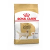 Royal Canin Adult Labrador Retriever Hondenvoer 3 Kg -Dierenwinkel 3182550715614 1