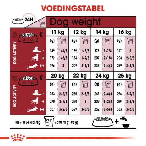 Royal Canin Medium Adult 7+ - Hondenvoer - 4kg -Dierenwinkel 37904a4470b67a90d889f8735c639bc0ce8648b286c52ffef500d7af8a577883 2