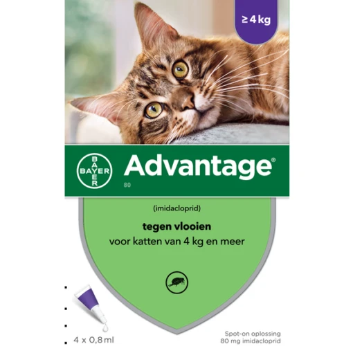 Advantage 2 X 4 Pipetten &#xC2, &#xAE, 80 Voor Katten Vanaf 4 Kg Dubbelpak -Dierenwinkel 4007221047421 1