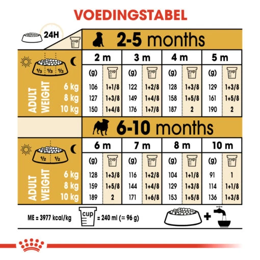 Royal Canin Pug/Mopshond Puppy - Hondenvoer - 1,5kg -Dierenwinkel 4181876dc67cd1e1b53782f72aee97443b6b490bccb7cb998a8433f3fc52c6a8 1