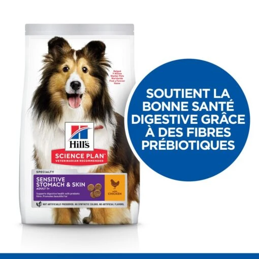 Hill's Hill’s Science Plan Adult Sensitive Stomach & Skin Kip 14kg -Dierenwinkel 52742026091 2 science plan sensitive stomach skin chien adulte medium croquettes poulet