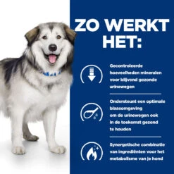 Hill's Prescription Diet C/d Multicare + Metabolic, Urinary + Weight Care Hondenvoer 1.5kg Zak -Dierenwinkel 52742037394 2 NL