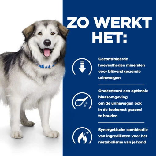 Hill's Prescription Diet C/d Multicare + Metabolic, Urinary + Weight Care Hondenvoer 1.5kg Zak -Dierenwinkel 52742037394 2 NL