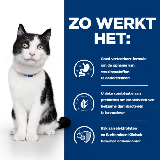 Hill's Hill’s Prescription Diet I/D – Kattenvoer Met Zalm – Maaltijdzakjes 12x85g -Dierenwinkel 52742040257 2 NL