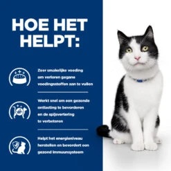 Hill's Hill’s Prescription Diet I/D – Kattenvoer Met Zalm – Maaltijdzakjes 12x85g -Dierenwinkel 52742040257 3 NL