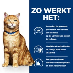 Hill's Hill’s Prescription Diet C/D – Kattenvoer Met Kip – 1,5kg -Dierenwinkel 52742042121 2 NL