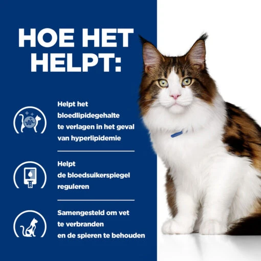 Hill's Prescription Diet W/d Multi-benefit Kattenvoer Met Kip 3kg -Dierenwinkel 52742042251 3 NL