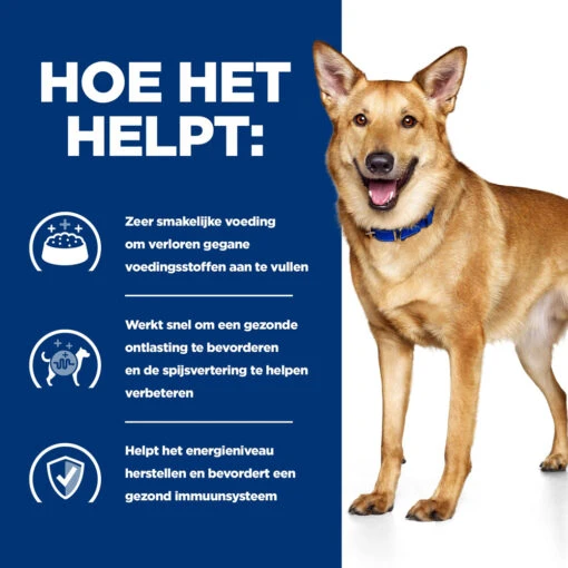 Hill's Prescription Diet I/d Digestive Care Hondenvoer Met Kip 16kg -Dierenwinkel 52742043166 3 NL 1