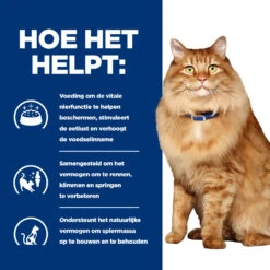 Hill's Prescription Diet K/d + Mobility Kattenvoer Met Kip 3kg -Dierenwinkel 52742044767 3 NL 1