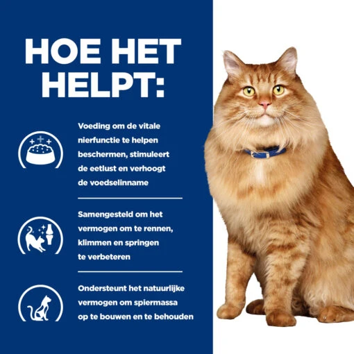 Hill's Prescription Diet K/d + Mobility Kattenvoer Met Kip 3kg -Dierenwinkel 52742044767 3 NL 1