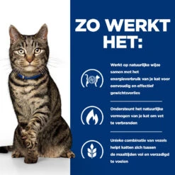 Hill's Prescription Diet Metabolic Weight Management Kattenvoer Met Kip 12kg -Dierenwinkel 52742047249 2 NL