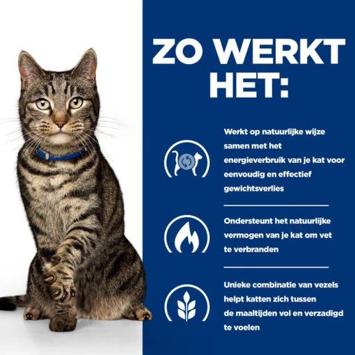 Hill's Prescription Diet Metabolic Weight Management Kattenvoer Met Kip 12kg -Dierenwinkel 52742047249 2 NL