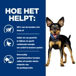 Hill's Prescription Diet Metabolic Kip- En Groentenstoofpotje Voor Hond 24x156g -Dierenwinkel 52742047331 3 NL