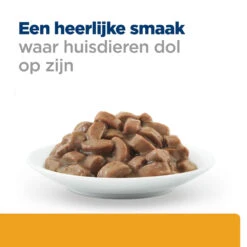 Hill's Hill’s Prescription Diet C/D Multicare – Kattenvoer Met Zalm – Maaltijdzakjes 12x85g -Dierenwinkel 52742188218 4 NL