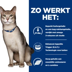 Hill's Hill’s Prescription Diet K/D – Kattenvoer Met Zalm – Maaltijdzakjes 12x85g -Dierenwinkel 52742188416 2 NL