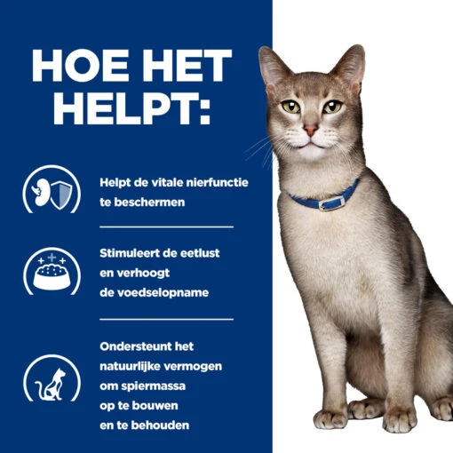 Hill's Hill’s Prescription Diet K/D – Kattenvoer Met Zalm – Maaltijdzakjes 12x85g -Dierenwinkel 52742188416 3 NL