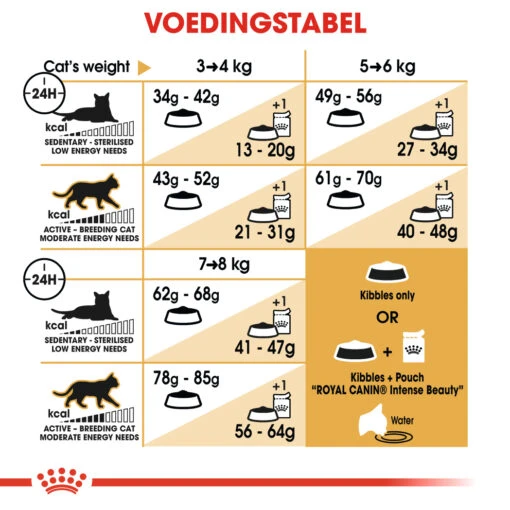 Royal Canin Ragdoll Adult Kat 10kg -Dierenwinkel 57b1cc2a37b56bef86fec3509d51bfdc4dfce95ade44c2d90e53eedb920dac80