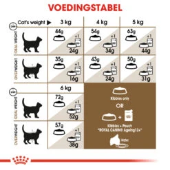 Royal Canin Ageing Sterilised 12+ Kat 4kg -Dierenwinkel 5f20f428cff199b837abe829635c8558ea16652d07551d384e43428bf3a57718 1