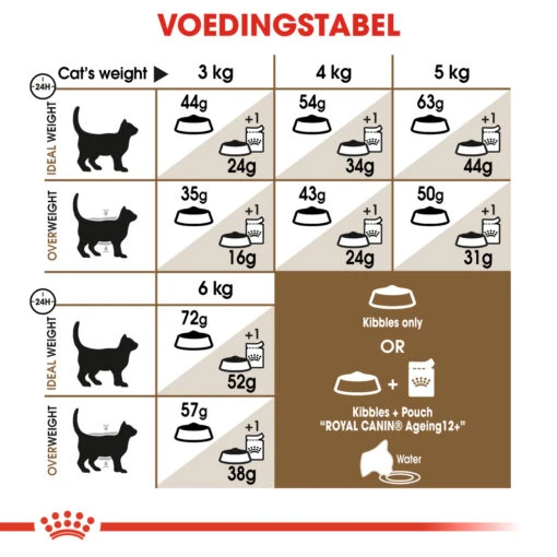 Royal Canin Ageing Sterilised 12+ Kattenvoer 2kg -Dierenwinkel 5f20f428cff199b837abe829635c8558ea16652d07551d384e43428bf3a57718 2