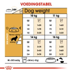 Royal Canin Cocker Adult - Hondenvoer - 3kg -Dierenwinkel 66ac97ed957c57330f0ec2173ce703e40374a52e0de005d74348b909f027667a 1