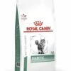 Royal Canin Diabetic - Kattenvoer - 3,5kg -Dierenwinkel 69bd9452ede7374a999893986afb1b04ed843d85194de34d89d72e21c61ed333