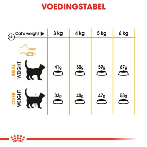 Royal Canin Hair & Skin Care Kattenvoer 10kg -Dierenwinkel 6cd71a60ba99f8570764bedbf54b2943681113398a4dc2074f443d0e11a6fff9 1