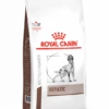 Royal Canin Hepatic - Hondenvoer - 6kg -Dierenwinkel 710bde77761f6cba6ae33d6c73e27ce306d228db018021c24ce3464aafc26d3f