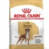 Royal Canin Boxer Adult - Hondenvoer - 3kg -Dierenwinkel 77da4b93dd869822d8b65e2a3474554b290c1538693aedbd22e86bfc29fc565c