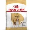 Royal Canin Beagle Adult - Hondenvoer - 12kg -Dierenwinkel 80cb322b70edbe83f42b045ac1b2bd17b9d406045f207c0ce1b40f556690d1c0