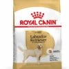 Royal Canin Labrador Retriever Adult - Hondenvoer - 12kg -Dierenwinkel 84d99a681362076ef0a0d89f7b314deafd8f598a6a209e39a669a654d4334a2b