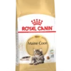 Royal Canin Maine Coon 4kg -Dierenwinkel 85acee602dcc994f5f769e8e0da15307a915f78e661fa8abee1defc3025ed010