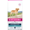 Eukanuba Labrador Retriever Hondenvoer 12 Kg -Dierenwinkel 8710255121819 1