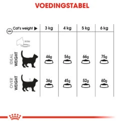 Royal Canin Dental Care Kattenvoer 8kg -Dierenwinkel 87cf17d147fbd085e4655802ded4226cb6e76488ebb3f98d72bdcf3c8ce16388 1