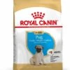 Royal Canin Pug/Mopshond Puppy - Hondenvoer - 1,5kg -Dierenwinkel 99d32243857e6cbb8677ea6a83edd8a1d42014abd1f3b77e64512c0dcfbdf543