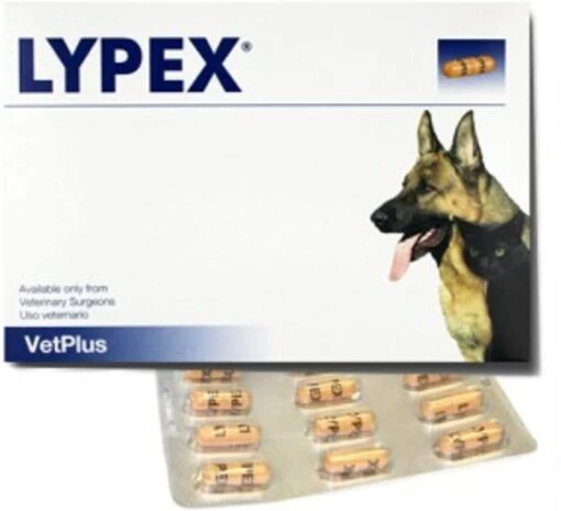 Lypex Hond-kat Caps 60 -Dierenwinkel 9b7b4b6cf9482e9dbcd6dacb26f9d80b57bc465348b12449030d6694b873813f