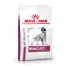 Royal Canin Renal Select - Hondenvoer - 2kg -Dierenwinkel RC VET DRY DogRenalSel 1