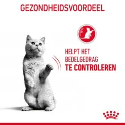 Royal Canin Appetite Control Kattenvoer 2kg -Dierenwinkel Royal Canin Appetite Control Care Kat NL 07 1