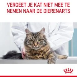 Royal Canin Appetite Control Kattenvoer 2kg -Dierenwinkel Royal Canin Appetite Control Care Kat NL 11 1