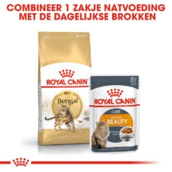 Royal Canin Bengal Adult Kattenvoer 2kg -Dierenwinkel Royal Canin Bengal Kat NL 6 1